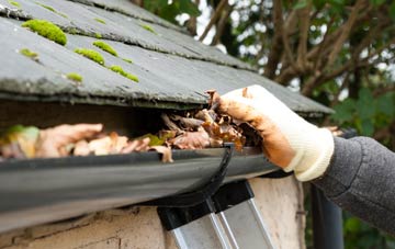 gutter cleaning Drumsleet, Dumfries And Galloway