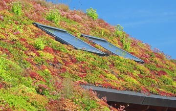 Drumsleet living roof systems